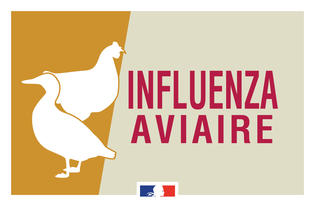 Grippe aviaire : levée de la zone de contrôle temporaire (ZCT) Octeville  sur Mer – La Remuée – Commune de La REMUEE