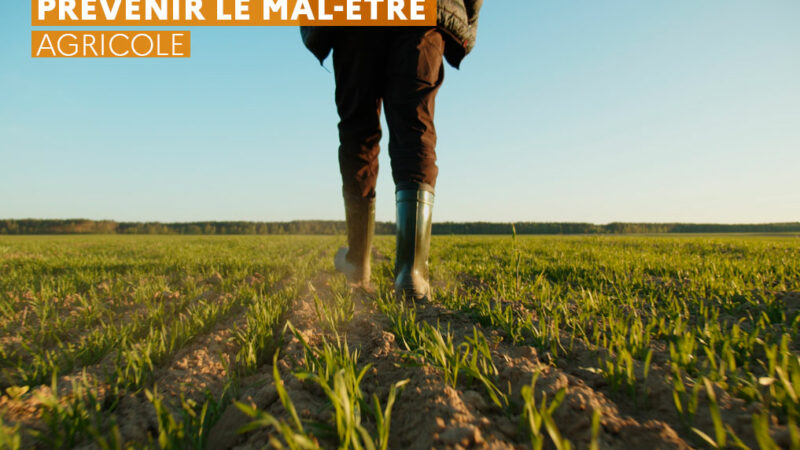 Prévention du mal-être agricole