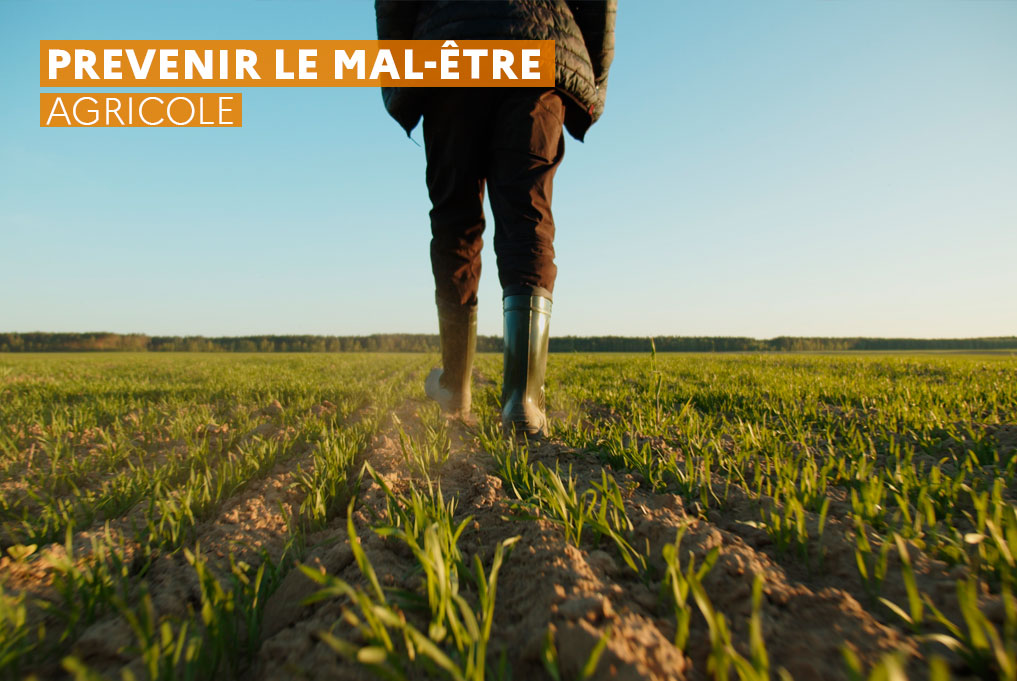 Prévention du mal-être agricole