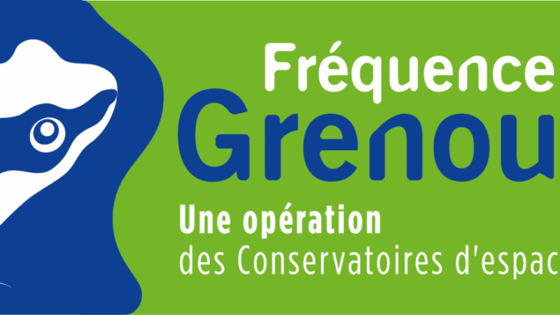 Campagne de comptage des grenouilles sur les mares de la commune