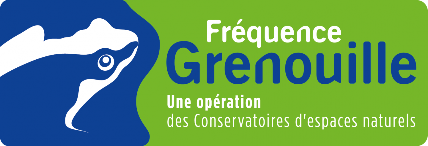 Campagne de comptage des grenouilles sur les mares de la commune
