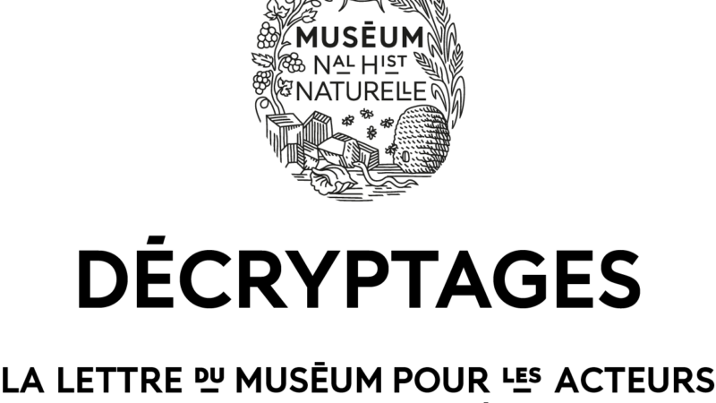 Découvrir les nouveautés des Éditions du Muséum à l’occasion des fêtes