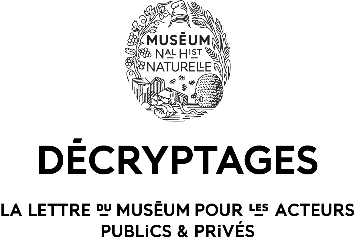 Découvrir les nouveautés des Éditions du Muséum à l’occasion des fêtes