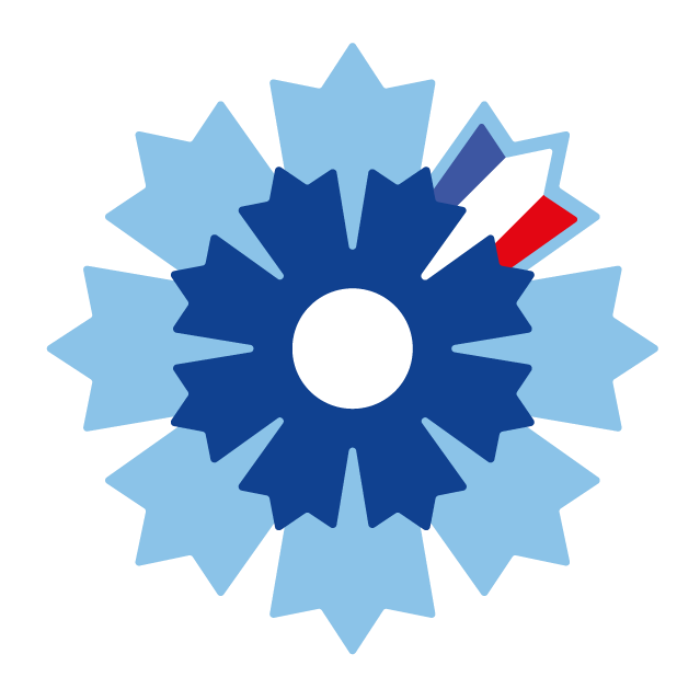 Bleuet de France : mémoire, solidarité et don pour le 8 mai