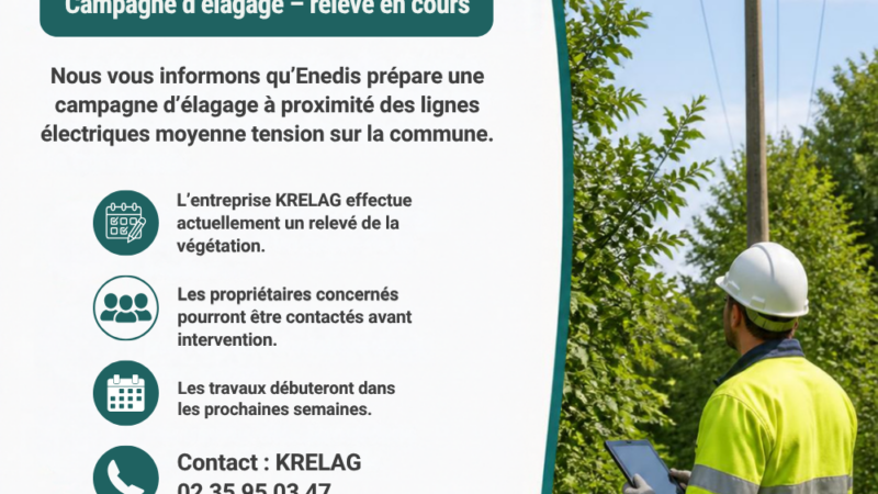 Campagne d’élagage à proximité du réseau électrique